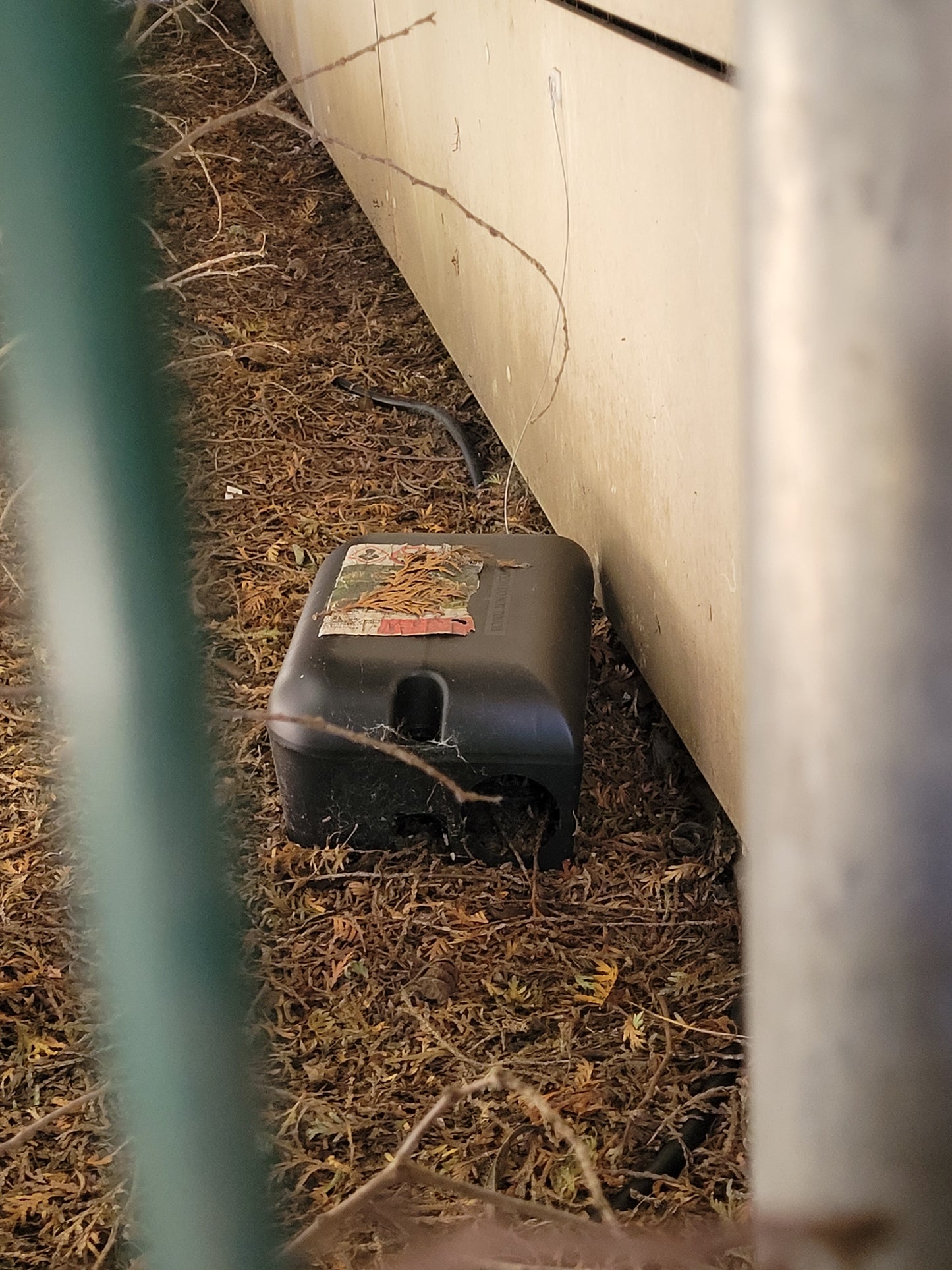 Rattenbekämpfung Innen/ Außen 1-4 Behandlungen je Variante inkl. Material/ Präparate & Köderstationen