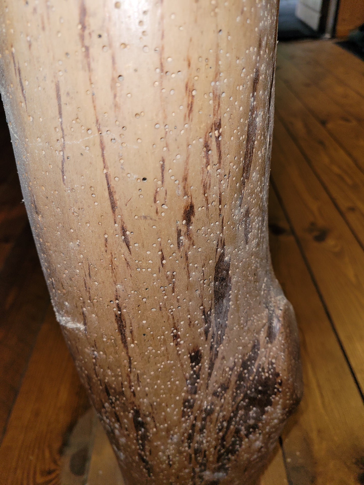 Holz & Bautenschutz Inspektion für Angebot