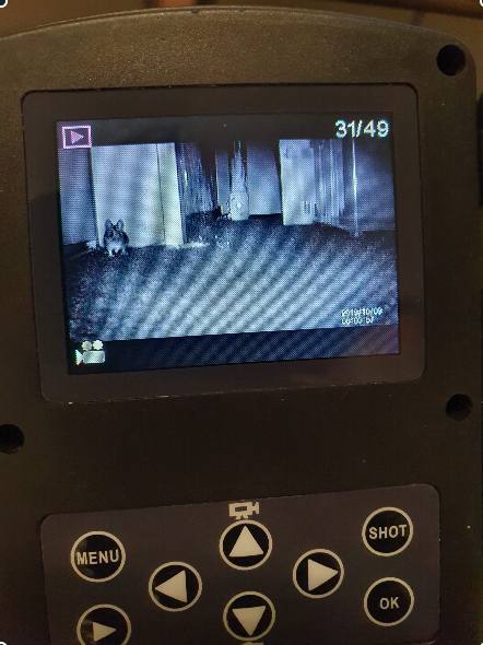 Mäusebekämpfung Innen/ Außen 1-4 Behandlungen je Variante inkl. Material/ Präparate & Köderstationen