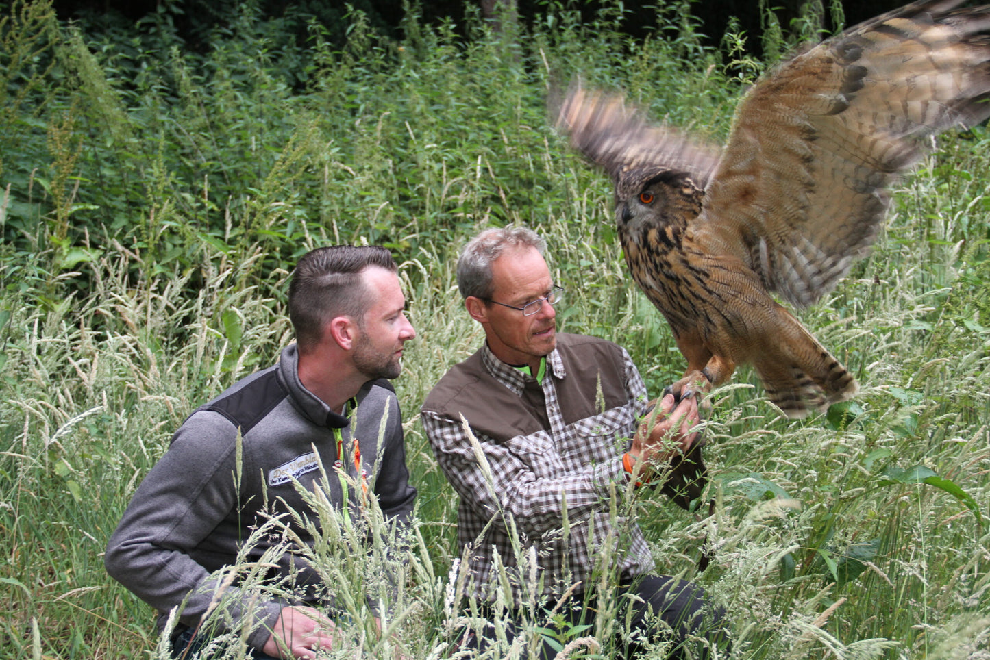 Einzeltermin/ Bekämpfung zzgl. Material