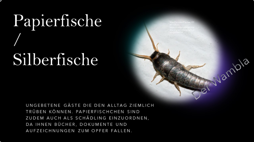 Monitoring Insekten & Schadnager für Innen und Außen