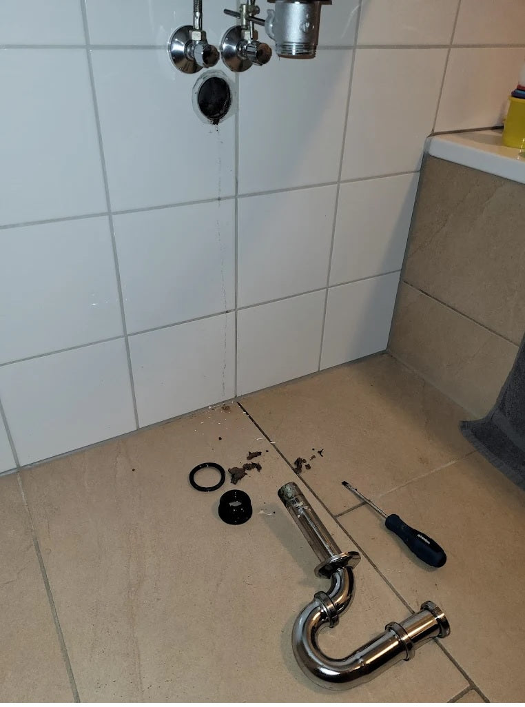 Reinigung Siphon / Handwaschbecken / Küche / Badezimmer