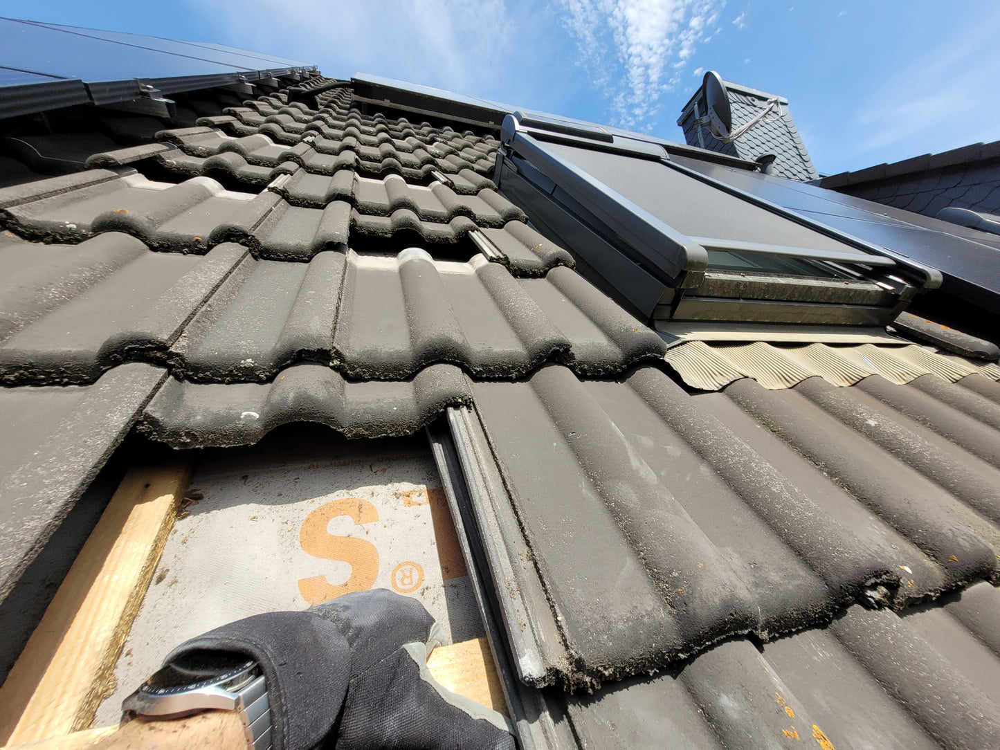 Rattenbekämpfung Dach  1-4 Behandlungen je Variante inkl. Material/ Präparate