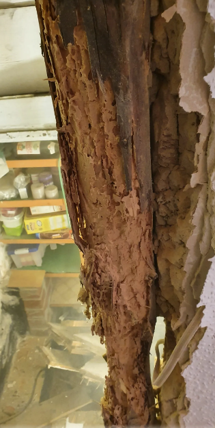 Holz & Bautenschutz Inspektion für Angebot