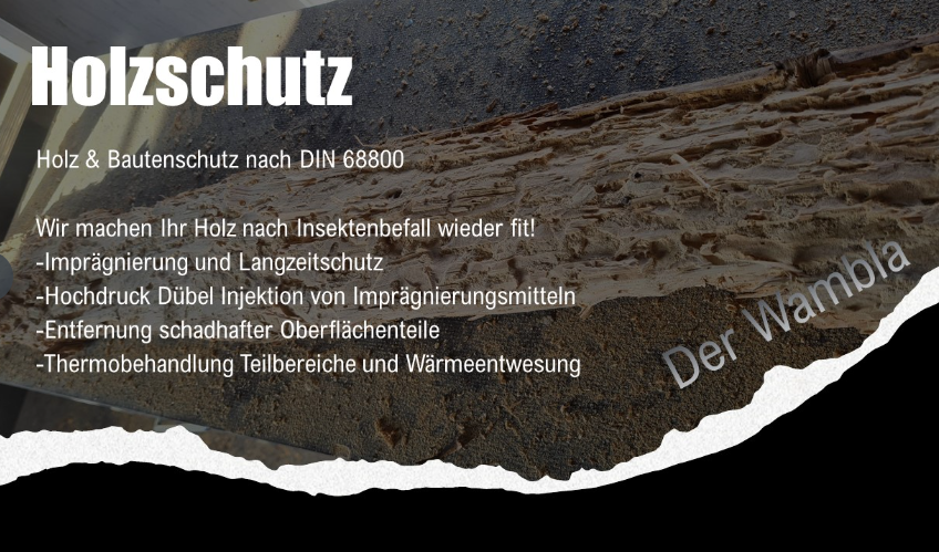 Holz & Bautenschutz Inspektion für Angebot