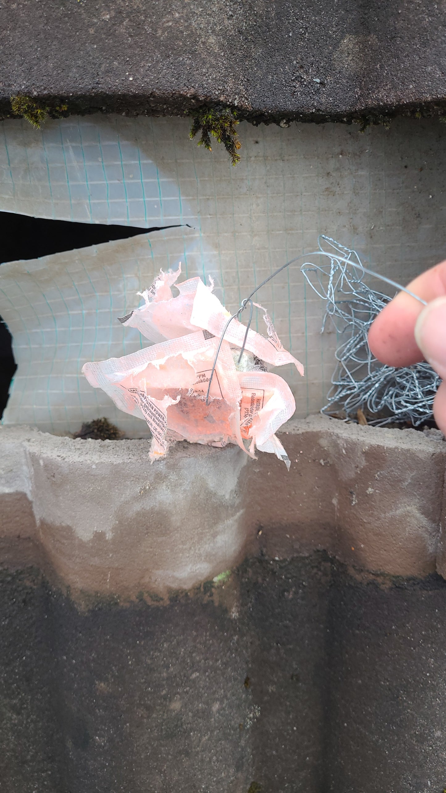 Rattenbekämpfung Dach  1-4 Behandlungen je Variante inkl. Material/ Präparate