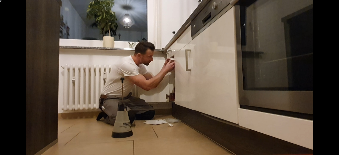 Monitoring Insekten & Schadnager für Innen und Außen