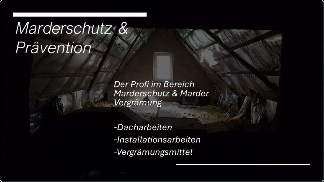 Marder Vergrämung Bitterstoff Behandlung ges. Dachbereich