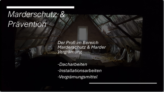 Marder Vergrämung Bitterstoff Behandlung ges. Dachbereich