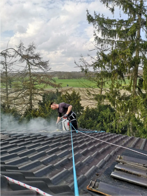 Marder Vergrämung Bitterstoff Behandlung ges. Dachbereich