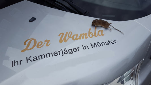 Mäusebekämpfung Innen/ Außen  1-4 Behandlungen je Variante inkl. Material/ Präparate & Köderstationen