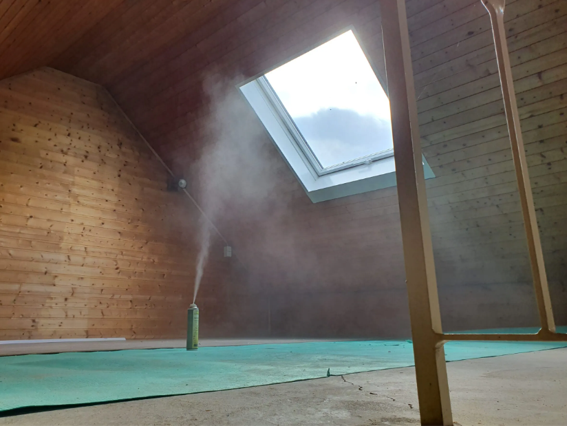 Flohbekämpfung Innen 2 Behandlungen