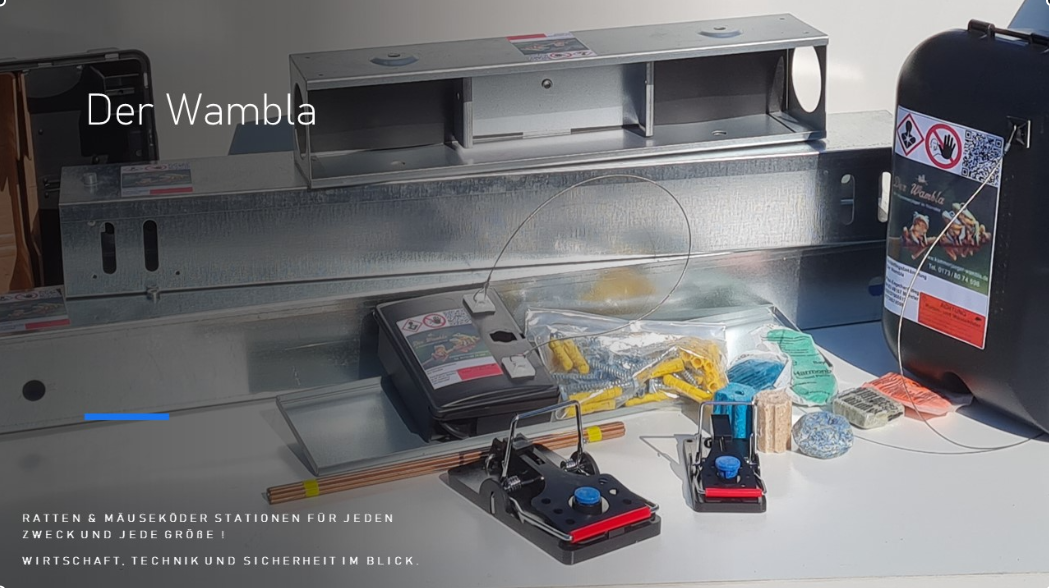 Rattenbekämpfung Dach  1-4 Behandlungen je Variante inkl. Material/ Präparate