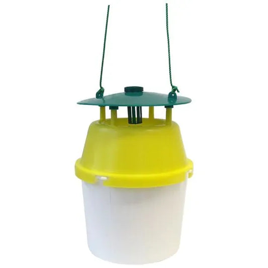 Textil Mottenbekämpfung 2 Behandlungen inkl. Vernebelung, Pheromone & ggf. Spritzbehandlung