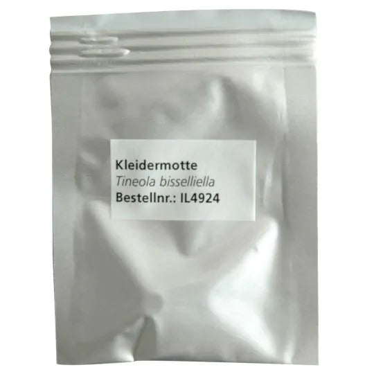 Textil Mottenbekämpfung 2 Behandlungen inkl. Vernebelung, Pheromone & ggf. Spritzbehandlung